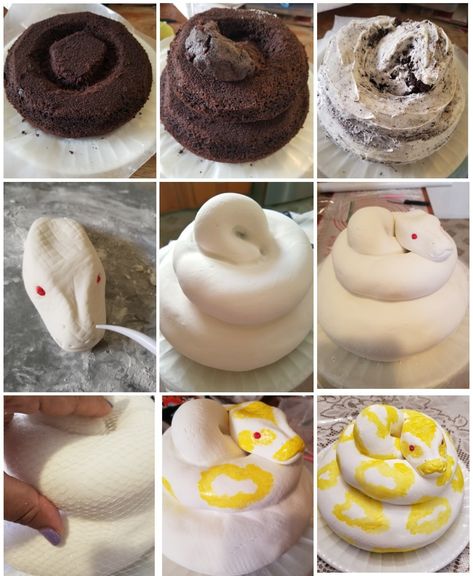 Cobra Cake Ideas, Snake Cake Tutorial, Snake Cake Ideas, Snake Cakes For Kids, Python Cake, Snake Birthday Cake, Snake Birthday Party, Vet Cake, Snake Cake