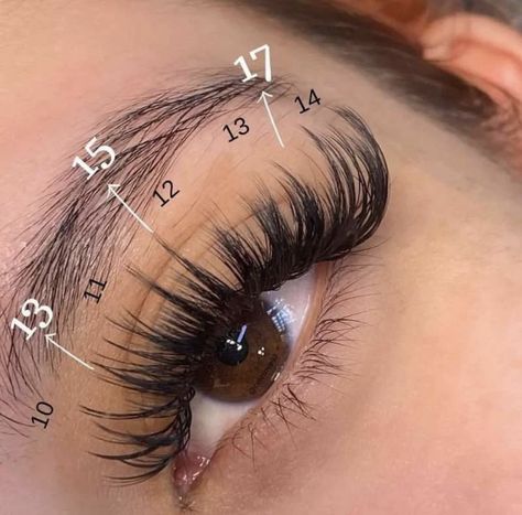 Lash Extensions Mapping Styles Wispy, Hybrid Lash Inspiration, Lash Types Eyelash Extensions, Spikey Lash Extentions, Hybrid Wispy Lashes, Lash Extensions Styles Wispy, Wispy Cat Eye Lash Extensions Map, Eyelash Extensions Styles Wispy, Wispy Volume Lash Extensions Map