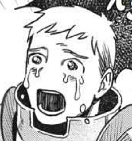 Dungeon Anime, Dungeon Meshi, Silly Images, Face Expressions, Reaction Pictures, Graphic Design Illustration, Drawing Reference, Art Inspo, Anime Icons