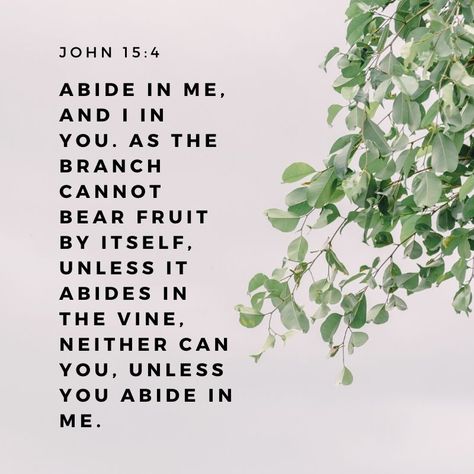 Abiding, remaining, staying, sitting, dwelling IN Christ is the call of our generation. To remain unwaveringly steadfast in our commitment to the King.   #abide #remain #dwell #home #Christ #JesusisKing #sermoncentral #pastor #sermon #churchmedia Abide In Me, John 15 4, Abide In Christ, Esv Bible, Christ Quotes, Stoic Quotes, Study Journal, In Christ Alone, Almighty God