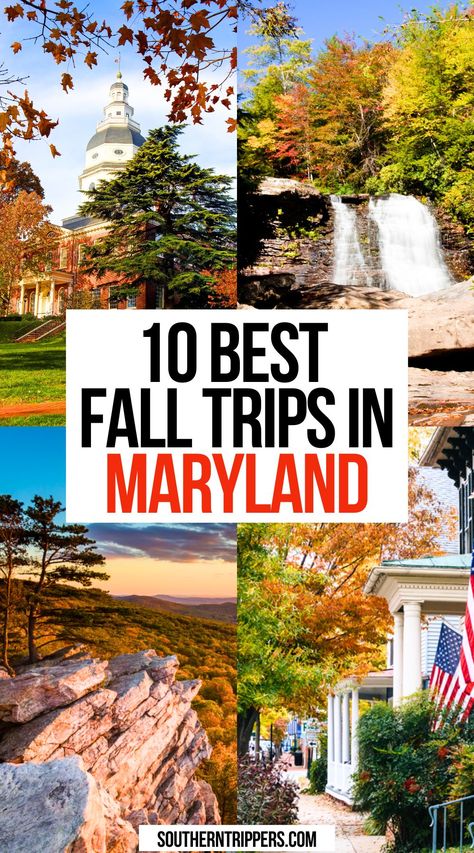 10 Best Fall Trips in Maryland Fall In Maryland, What To Do In Maryland, Fun Things To Do In Maryland, Things To Do In Maryland In Fall, Maryland Things To Do, Maryland Bucket List, Things To Do In Baltimore Maryland, Maryland Aesthetic, Things To Do In Maryland