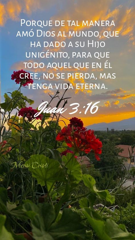 mensicristi
mensajescristianos
buenosdias
Diostebendiga
Saludos
Buenos deseos
versiculos 
citas biblicas
textos biblicos
salmos
proverbios 
evangelio
salvación
wallpapers mensicristi
pines mensicristi
creacion mensicristi
fotos
walpapers
fondos
flores
rosas
fondos claros
naturaleza
paisajes
Dios
creacion
fe
amor
paz
verdad
luz
esperanza
promesas
misericordia
vidaeterna
jesus
jesucristo
cristo
Jehová
palabradeDios
biblia
edificación
exhortación
consuelo
profecía
predica
iglesia
mensi cristi Bible Verses Quotes Inspirational, Jesus Is Lord, Verse Quotes, Bible Verses Quotes, God Bless, Christian Quotes, Verses, Bible Verses, Bible