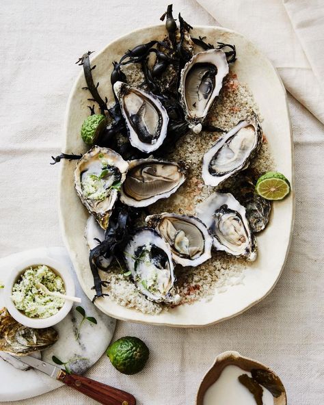 Alan Jensen on Instagram: “Oysters with lime coconut cream & spicy green sambal @elleeten @ajdamehmet @maaikekoorman” Food Photographer, Photographing Food, What To Cook, Coconut Cream, Sydney, Coconut, Cream, Photographer, Green