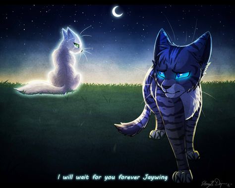 JayFeather and Half Moon Warrior Cats Quotes, Cat Safe Plants, Warrior Cats Comics, Warrior Cats Series, Herding Cats, Warrior Cats Books, Warrior Cats Fan Art, Warrior Cat Drawings, Love Warriors