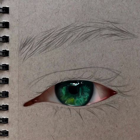 Eye References, Dark Green Eyes, Simple Images, Digital Art Software, Tv Memes, Realistic Eye Drawing, Prismacolor Art, Glossy Eyes, Realistic Pencil Drawings