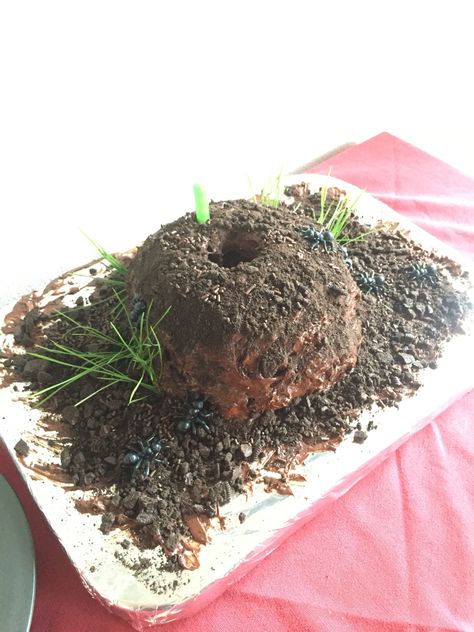 Ant-Man ant hill birthday cake Ant Birthday Cake, Ant Hill Cake, Ant Themed Party, Ant Birthday Party, Ant Hill Craft, Ant Picnic Party, Ant Cake, Mounds Cake, Ant Picnic