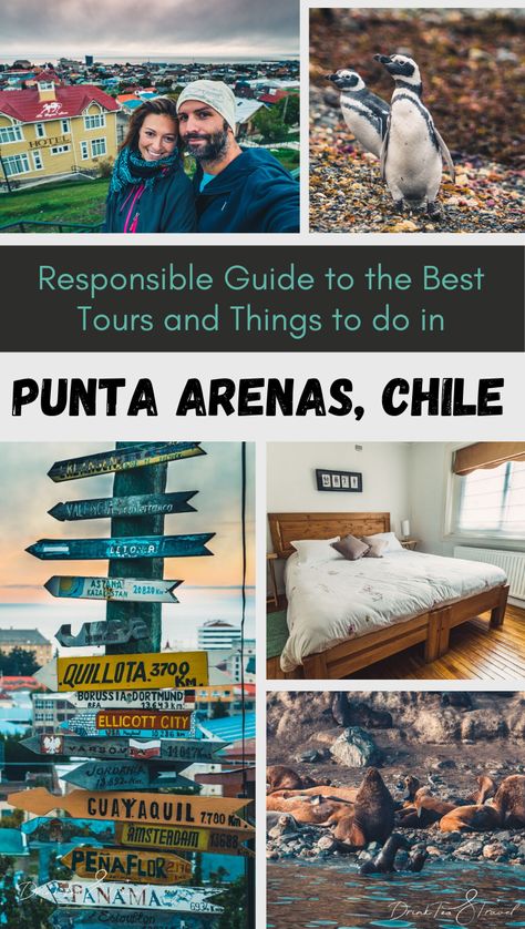 Chile Travel Destinations, Chile Trip, Travel Chile, America Trip, Vina Del Mar, Punta Arenas, Anchors Aweigh, Chile Travel, Responsible Tourism