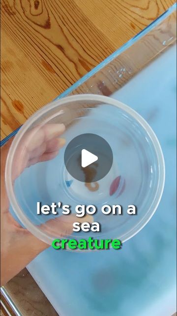 Emily Farrington | Play Coach on Instagram: "Lets go on a sensory sea creature hunt with our preschoolers!   This activity is perfect for supporting your child's; 🔢 Counting knowledge 💡 Problem solving skills 👐 Hand eye coordination 🐠 Knowledge of animals  Adult Supervision Is Required  #sensoryplayideas #preschoolsensoryplay #earlyyearsactivities #learningthroughplay #preschoolactivities #countingactivity #undertheseaactivities" Sea Animals Crafts For Toddlers, Sea Creatures Activities Preschool, Sea Animal Activities Preschool, Sea Animal Activities For Toddlers, Sea Animal Activity, Sea Animal Activities, Sea Activities For Preschool, Ocean Sensory Activities, Sea Animals Activities For Preschool