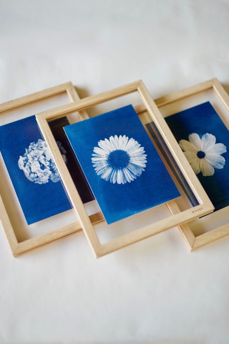 Glass Printing Design, Cyanotype Gifts, Cute Wood Projects, Cyanotype Diy, Cyanotype Ideas, Easy Wall Decor, Cyanotype Art, Wood Projects Easy, Small Frames