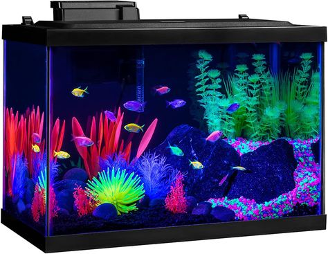 Dark Fish Tank, Glofish Tank, Glofish Aquarium, 20 Gallon Aquarium, Vsco Quotes, Glow Fish, Fish Tank Themes, Cool Fish Tanks, Design Portrait