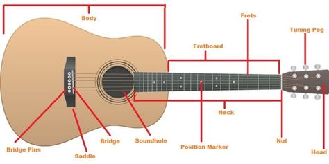 How to Hold a Guitar Acoustic Guitar Parts, Guitar Notes, Guitar Fretboard, Guitar Tips, Guitar Parts, Guitar Neck, Guitar Strings, Guitar Body, Learn Guitar