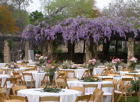 Indoor Garden Wedding Reception, San Antonio Botanical Garden, Gold Dishes, San Antonio Wedding Venues, Golden Candle, Indoor Garden Wedding, Wisteria Wedding, Chivari Chairs, Enchanted Garden Wedding