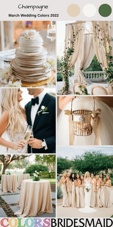 Champagne march wedding color inspirations for 2022, champagne bridesmaid dresses, black men's suit, flower girl and basket, champagne wedding cake dotted with white flowers, champagne tablecloths and greenery centerpieces. #colsbm #weddings #weddingideas #bridesmaiddresses #springwedding #champagnewedding Wedding Colors Champagne Colour Schemes, Wedding Colors March, Sage Green And Champagne Wedding, Champagne Color Palette Wedding, March Wedding Colors, April Wedding Colors, Champagne Wedding Themes, Champagne Wedding Flowers, Wedding Motif