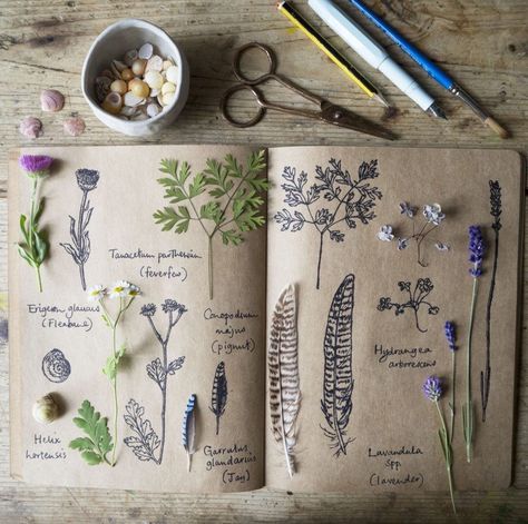 Nature Journal Cover, Nature Journal Kids, Nature Journal Prompts, Nature Journal Ideas, Diy Nature Journal, Phenology Wheel, Dairy Notebook, Botany Study, Journal D'inspiration