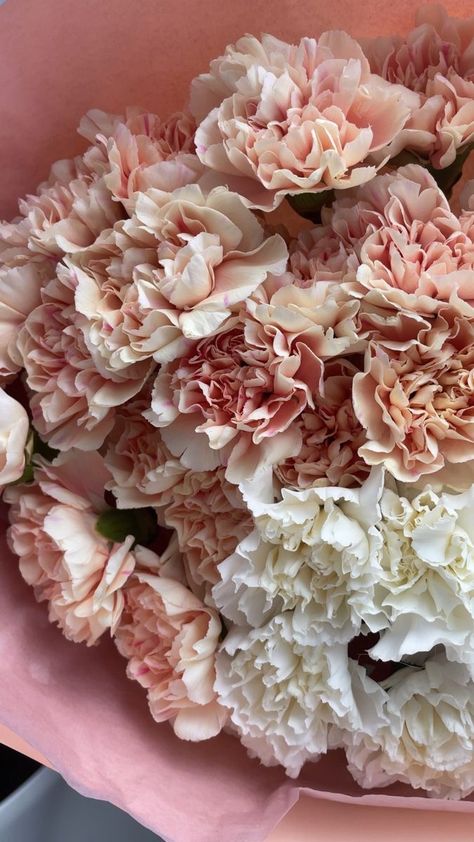 Victoria's Secret Pink Wallpaper, Carnation Bouquet, Flower Boquet, Luxury Flower Bouquets, Picking Flowers, Boquette Flowers, Pink Carnations, Flowers Bouquet Gift, Nothing But Flowers