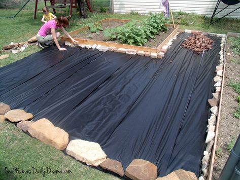 Mulch Patio, Backyard Makeover On A Budget, Inexpensive Landscaping, Inexpensive Backyard Ideas, Backyard Seating Area, Diy Backyard Patio, Cheap Backyard, Backyard Seating, Easy Backyard