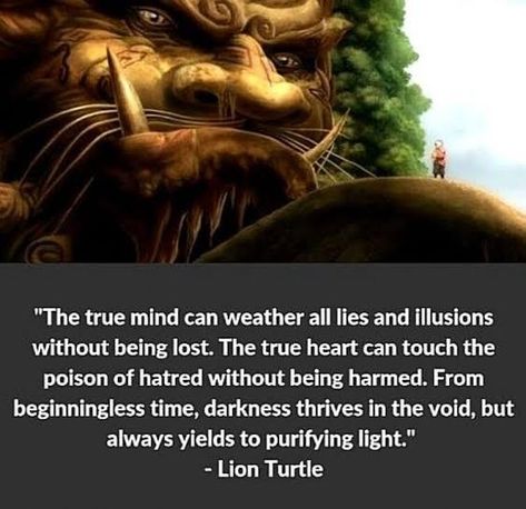 The Last Airbender Quotes, Avatar The Last Airbender Quotes, Fullmetal Alchemist Quotes, Avatar Bending, Iroh Quotes, Lion Turtle, Turtle Quotes, Avatar Quotes, Prince Zuko