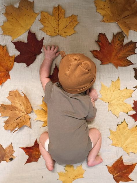 Baby photo at home in yellow and red leaves Autumn Baby Photoshoot, Baby Photoshoot Ideas At Home, Fall Baby Photos, Baby Photo Ideas, Photoshoot Ideas At Home, Baby Photoshoot Ideas, Autumn Photoshoot, Photo Ideas Instagram, Photography Ideas At Home