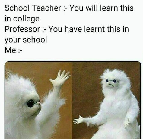 Teacher Memes Funny, Funny Cartoon Memes, College Memes, Best Memes Ever, English Memes, Army Jokes, Student Humor, School Jokes, Funny School Jokes