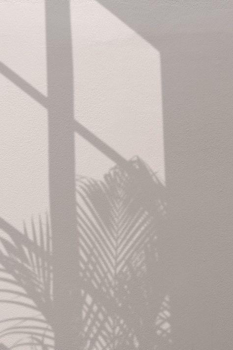 Background with palm tree and window shadow | free image by rawpixel.com / Benjamas Palm Tree Shadow, Icona Ios, Tree Shadow, Window Shadow, Shadow Plants, Shadow Photography, 패턴 배경화면, Fotografi Alam Semula Jadi, Window Light