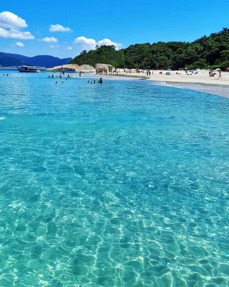 📌 Ilha do Campeche / Florianópolis 🌅🏝️🐚 Brazil Wedding, Spain Pictures, Summer Vibes, Brazil, Vision Board, Around The Worlds, Spain, Swimming, Pool