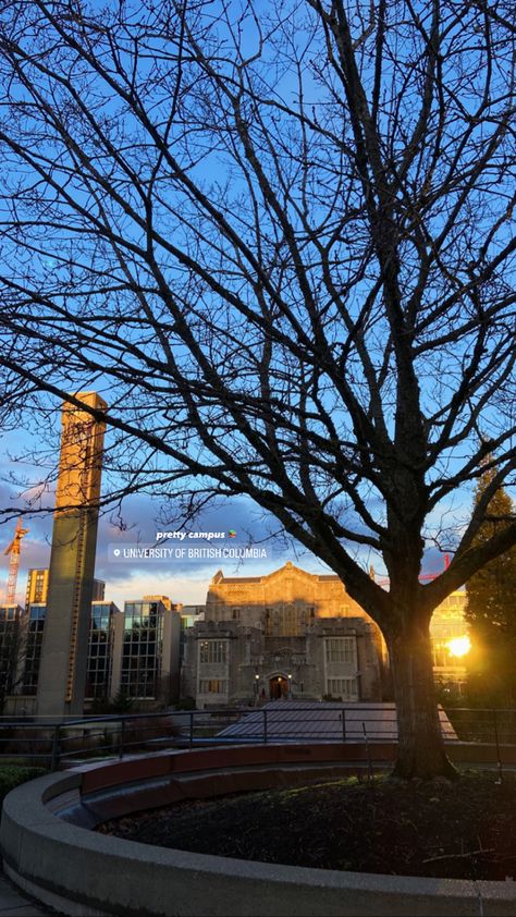 University Student Aesthetic, Motivation For School, University Of British Columbia Vancouver, School Life Aesthetic, Inspo For Instagram, Aesthetic University, Aesthetic Student, College Vibes, College Vision Board