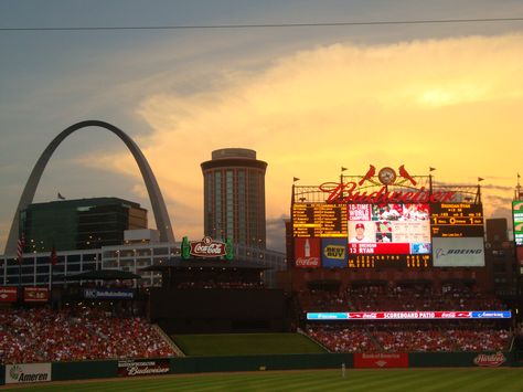 stl cardinals game in the summer <3 Stl Cardinals Baseball, St Louis Arch, Cardinals Game, Busch Stadium, St Louis Cardinals Baseball, Stl Cardinals, Cardinals Baseball, Summer 3, Baseball Season