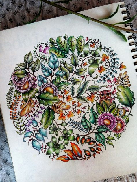 Enchanted Forest Johanna Basford Finished Pages, Johanna Basford Secret Garden Coloring Book, Enchanted Forest Johanna Basford, Enchanted Forest Coloring Book Johanna Basford, Enchanted Forest Book, Pencil Flowers, Colouring Tips, Forest Coloring Pages, Forest Coloring