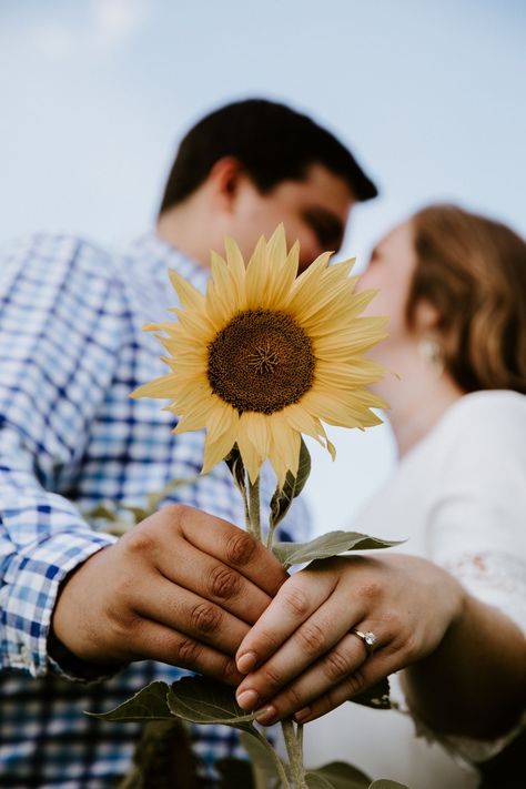 Engagement Photos With Sunflowers, Sunflower Photography Couples, Sunflower Patch Engagement Pictures, Sunflower Field Engagement Photoshoot, Sunflower Couple Pictures, Sunflower Engagement Photos, Sunflower Field Couples Photoshoot, Sunflower Field Engagement Photos, Couple Sunflower Field Pictures