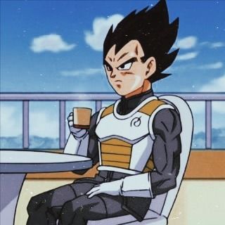 Super Vegeta, Vegeta And Bulma, Being Nice, Db Z, Matching Profile Pictures, Anime Dragon Ball, Matching Icons, Dragon Ball Z, Anime Icons