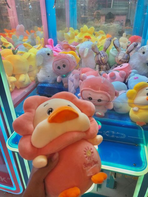 Plushie Claw Machine, Claw Machine, The Claw, Soft Plush, Plush Toy, Doll Toys, Dolls, Toys, Animals