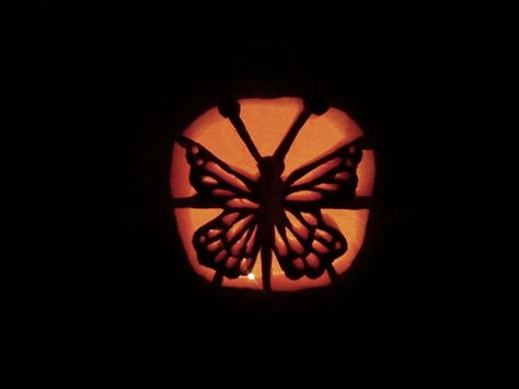 Butterfly pumpkin Butterfly Jackolantern, Butterfly Pumpkin Carving, Butterfly Pumpkin, Pumpkin Carving Patterns Free, Cute Pumpkin Carving, Pumpkin Carving Designs, Pumpkin Carving Ideas, Pumpkin Carvings, Pumpkin Carving Patterns