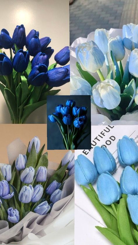 flavors wallpaper Tulips Aesthetic Wallpaper Iphone, Blue Tulips Aesthetic, Tulips Aesthetic Wallpaper, Tulip Flower Pictures, Tulips Aesthetic, Pretty Flowers Pictures, Flower Boquet, Blue Flower Wallpaper, Aesthetic Wallpaper Iphone