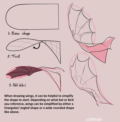 (1) Tweets más recientes / Twitter Wing Anatomy, Dragon Poses, Dragon Anatomy, Wings Drawing, Dragon Sketch, Creature Drawings, Drawing Expressions, Dragon Wings, Guided Drawing