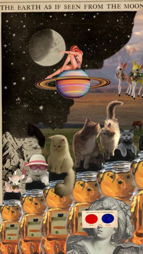 Mushroom Music, Wallpaper Gatos, Meow Art, Random Wallpaper, Silly Cats Pictures, Space Planets, My Little Pony Drawing, Edgy Wallpaper, Cat Icon