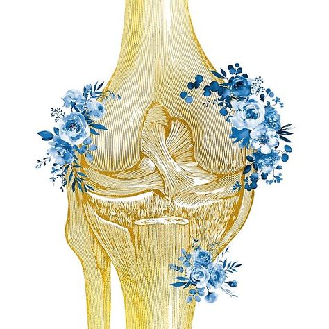 Medical Art Painting, Leg Bones Anatomy, Anatomy Knee, Bones Poster, Knee Anatomy, Floral Anatomy, Knee Bones, Medical Artwork, Leg Bones