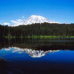 Enjoy amazing views of Mt. Rainier, an active volcano in Washington - Pacific Coast Adventure with Globus Lacey Washington, Washington Wine Country, Military Housing, Gorgeous Places, Hill Park, Mt Rainier, Active Volcano, Nice Pictures, Amazing Views