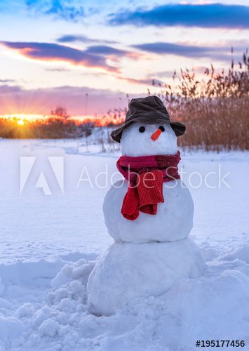 Snowman Real, Snowman Photos, Snowmen Pictures, Winter Christmas Scenes, Snowman Images, Snow Sculptures, I Love Snow, Snow Pictures, Snow Art