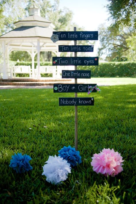 Ideas for an Outdoor Gender Reveal Party Nursery Diy Projects, Pregnancy Gender Reveal, Gender Reveal Party Theme, Gender Reveal Ideas, Baby Reveal Party, Gender Party, Gender Reveal Party Decorations, Gender Reveal Decorations, Baby Gender Reveal Party