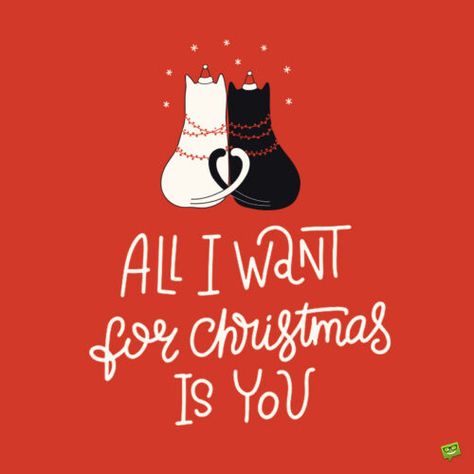 Merry Christmas I Love You, Merry Christmas For Him, Merry Christmas Handsome, Christmas Greeting Card Ideas, Animated Christmas Cards, Free Animated Christmas Cards, Message For Love, Animated Christmas Card, Sweet Christmas Card