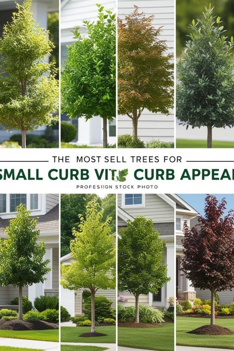 Boost your home’s curb appeal with these top 5 small trees, perfect for front yards of all sizes. From ornamental trees to flowering varieties, these trees add beauty and style to your landscape without taking up too much space. Discover the best options for your home! #SmallTrees #CurbAppeal #FrontYardLandscaping #GardenDesign #TreeVarieties #LandscapingTips #HomeGarden Small Blooming Trees, Tree For Corner Of House, Small Front Yard Trees, Ornamental Trees For Small Gardens, Front Yard Trees Curb Appeal, Landscape Trees Front Yard, Front Yard Tree Ideas, Tree Flower Bed Ideas, Landscaping Around Trees Front Yards