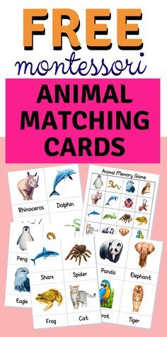 Montessori Animal Cards Free Printable, Animal Memory Game Free Printables, Montessori Flashcards Free Printable, Free Printable Matching Games, Animal Cards Printable, Matching Cards Free Printable, Memory Games For Kids Printable, Animal Cards For Kids, Montessori Printables Free