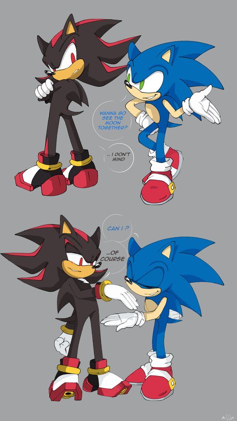 Sonadow Boom, Sonic Unleashed, Sonic Funny, Sonic Franchise, Blue Hedgehog, Sonic 3, Sonic Adventure, Shadow Art, Sonic And Shadow