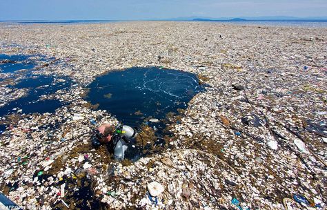 Plastic waste floating off the coast of Roatan, Honduras. Underwater photographer Caroline Power found the plastic blanket of forks, bottles and rubbish 15 miles off the coast of Roatan heading towards the Cayos Cochinos Marine Reserve. A diver can be seen here wading through the mess Garbage In The Ocean, Plastik Recycling, Great Pacific Garbage Patch, Ocean Pollution, Save Our Earth, Underwater Photographer, Environmental Pollution, Plastic Pollution, Fire Station