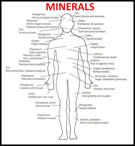 Trace Minerals: Natural Balance, Perfect Solution – globalhealthlab Saint Lucia, Sea Moss, Cardiovascular Health, Alternative Health, The Human Body, Health Info, Natural Medicine, Alternative Medicine, Health Remedies