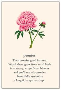 peonies meaning | Perfect Wedding Flower~the Peony Peony Meaning Language Of Flowers, Peony Meaning, Vintage Flower Tattoo, Flowers Peonies, Magia Das Ervas, Secret Language, Flower Meanings, Symbols And Meanings, Spiritual Symbols