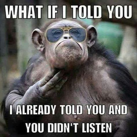 What if I told you, I already told you and you didn't listen. Classroom Humor, Teaching Memes, Monkey Memes, Classroom Memes, Teaching Humor, Teacher Memes, School Memes, Work Memes, Memes Humor