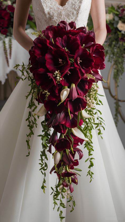 Stunning Red Amaryllis Cascade Cascading Red Bouquet, Burgundy Orchid Wedding Bouquet, Wine Red Bridal Party, All Red Wedding Bouquet, Bouquet Styles Wedding, Deep Red Flowers Wedding, White And Maroon Bouquet, Spider Lily Wedding Bouquet, Red Cascade Bridal Bouquet