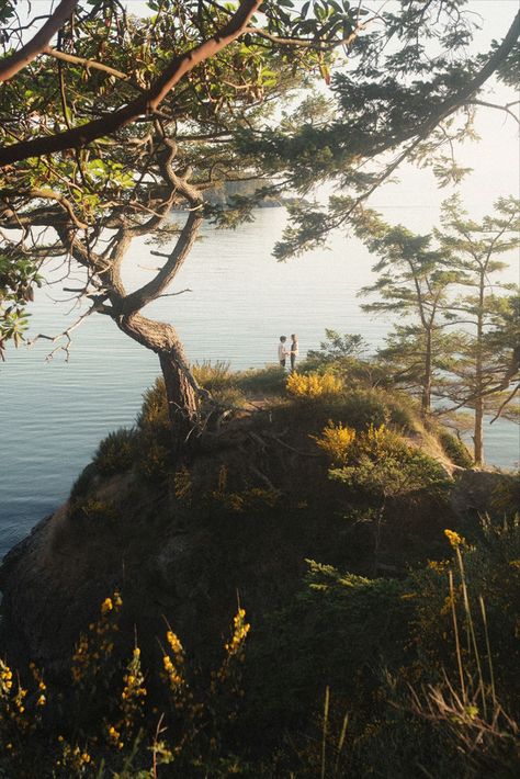 State Park Engagement Photos, Pnw Aesthetic, Washington Beaches, Seattle Engagement Photos, Proposal Photoshoot, Seattle Elopement, Summer Wildflowers, Deception Pass, Golden Summer