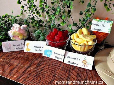 Food table for safari theme party Wild Kratts Birthday Party, Wild Kratts Party, Jungle Theme Birthday Party, Zoo Birthday Party, Jungle Safari Birthday, Wild Birthday Party, Jungle Theme Parties, Birthday Party Snacks, Lion King Birthday